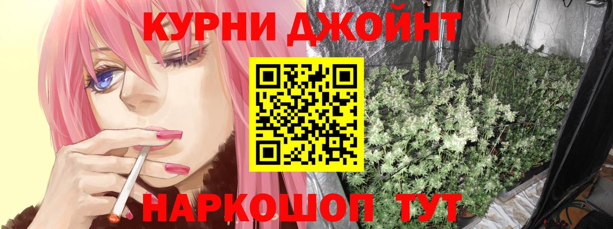 Каннабис сатива Белогорск